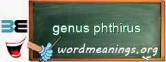 WordMeaning blackboard for genus phthirus